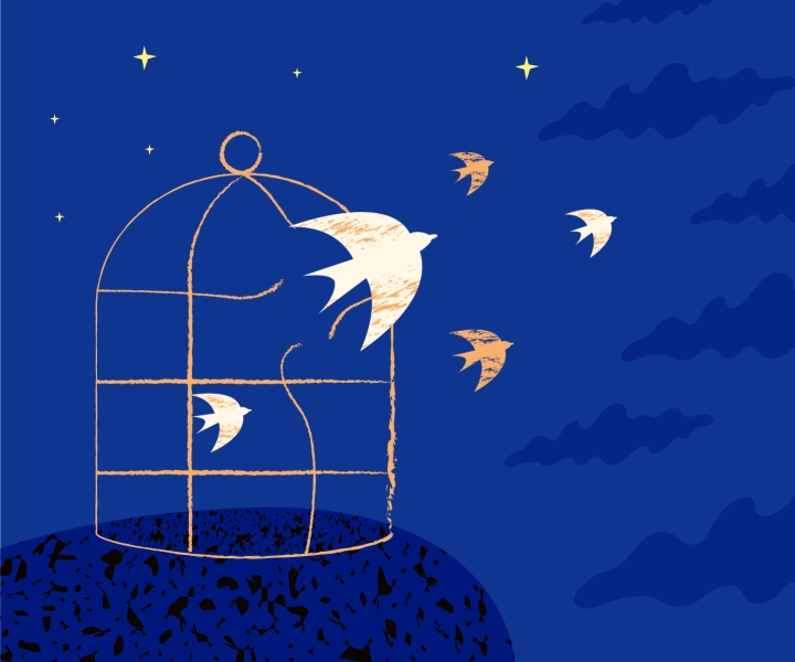 illustration of birds escaping a cage at night